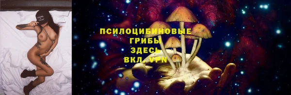 бошки Алзамай
