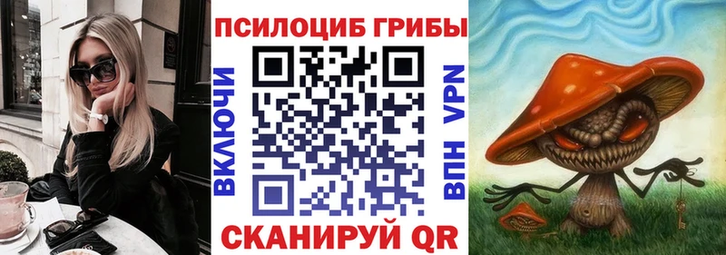 как найти Туймазы Галлюциногенные грибы мицелий